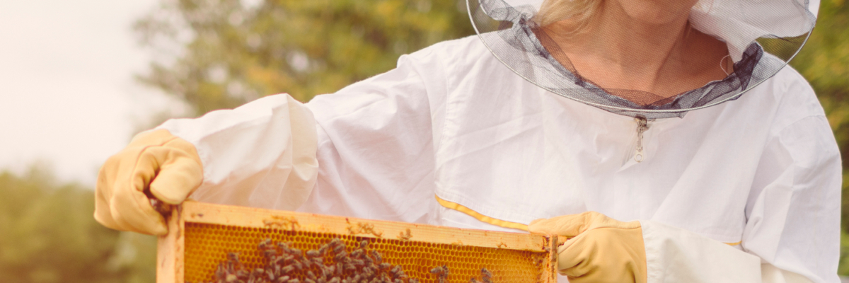 Image of Manuka: Unique Honey