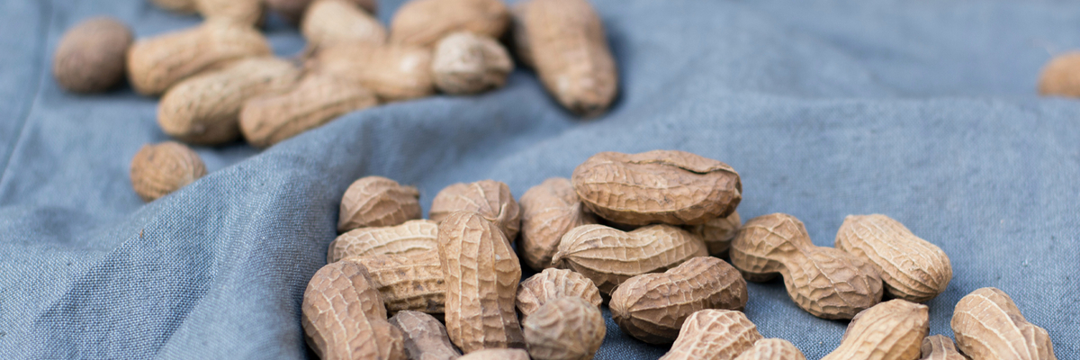 Image of All about magnesium
