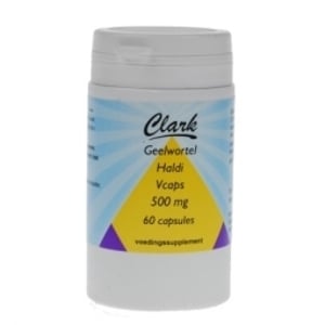 Holisan - Haldi Turmeric 500mg