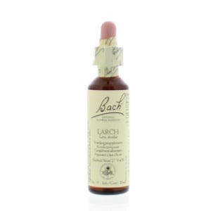 Bach - Larch