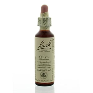 Bach - Olive / olive