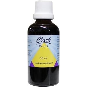 Clark - Parozol