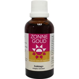 Zonnegoud - Solidago simplex