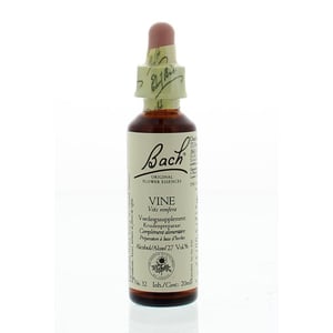 Bach - Vine / grapevine