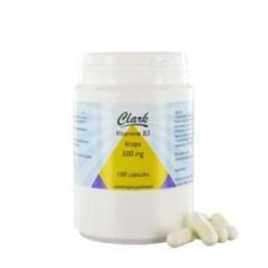 Holisan - Vitamin B5 Pantothenic Acid 500 mg