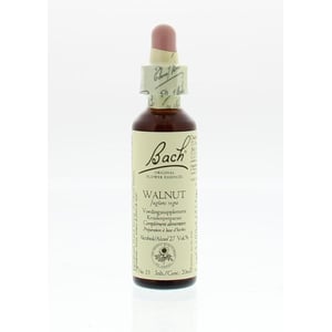 Bach - Walnut / walnut