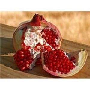 Weleda natuurcosmetica Granaatappel Regeneratie Handcreme afbeelding