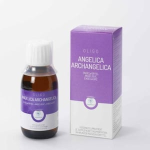 Oligoplant - Angelica angelica arch