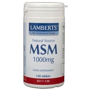 Lamberts - msm 1000mg 