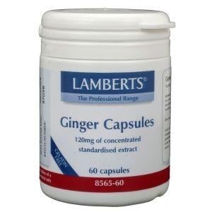 Lamberts - Ginger