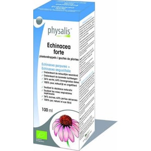 Physalis - Echinacea forte plantendruppels
