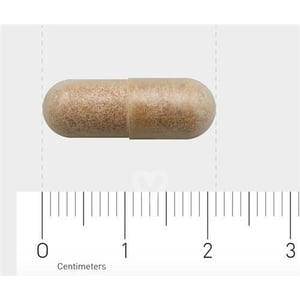 AOV Voedingssupplementen 814/815 Green Tea Extract 250 mg (green tea) image
