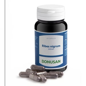 Bonusan Ribes Nigrum extract Bonusan Ribes Nigrum extract afbeelding