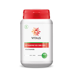 Vitals Vitamin B3 Niacinamide 500 mg image