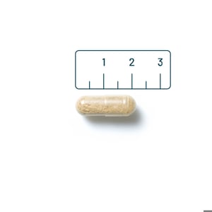 Vitaminstore Ester-C® 500mg (acid-free buffered vitamin C) Vitaminstore Ester-C® 500mg (acid-free buffered vitamin C) image