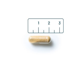 Vitaminstore GABA 500 mg afbeelding