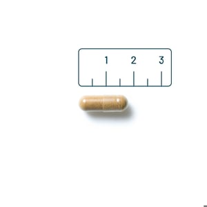 Vitaminstore Concentratie Support (voorheen Ginkgo Biloba) afbeelding