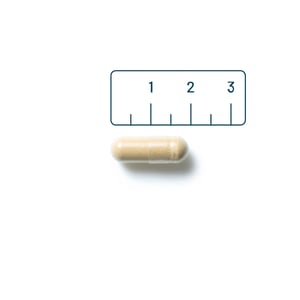 Vitaminstore Griffonia Extract (75 mg 5-HTP) afbeelding