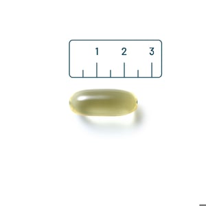 Vitaminstore Borage Olie Extra Sterk GLA (voorheen Zuiver GLA) afbeelding