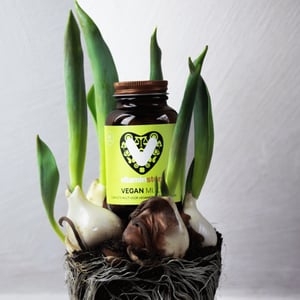 Vitaminstore Vegan Multi (multivitamine) afbeelding