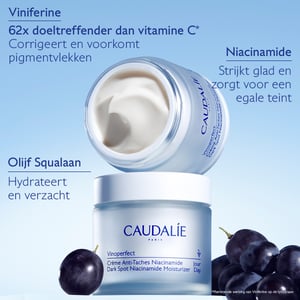 Caudalie Vinoperfect Day Cream for Pigmentation Spots image