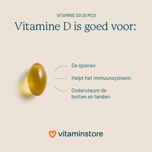 Vitaminstore Vitamin D3 25 mcg Vitaminstore Vitamin D3 25 mcg image