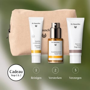 Dr Hauschka Regeneration gift set image