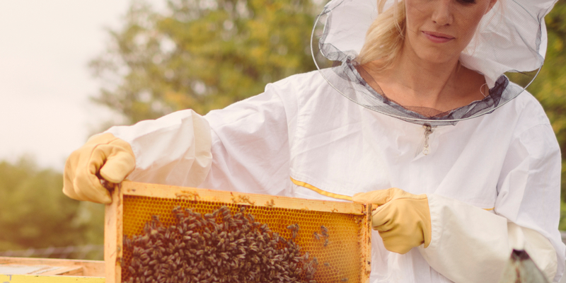 Afbeelding van Manuka