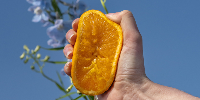 Afbeelding van Alles over vitamine C
