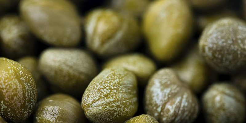 Image of All About Quercetin