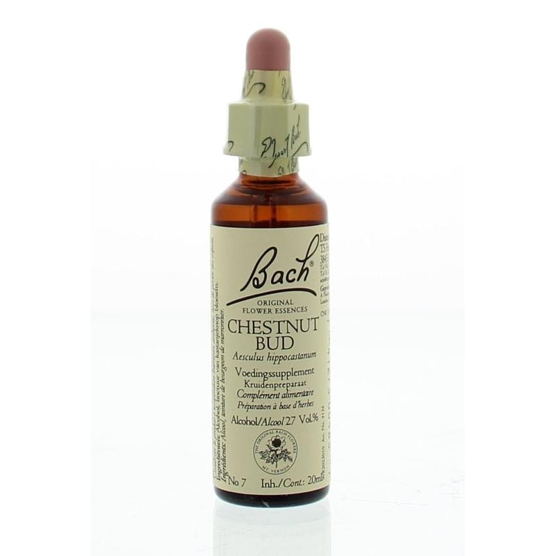 Bach Chestnut bud / chestnut bud image