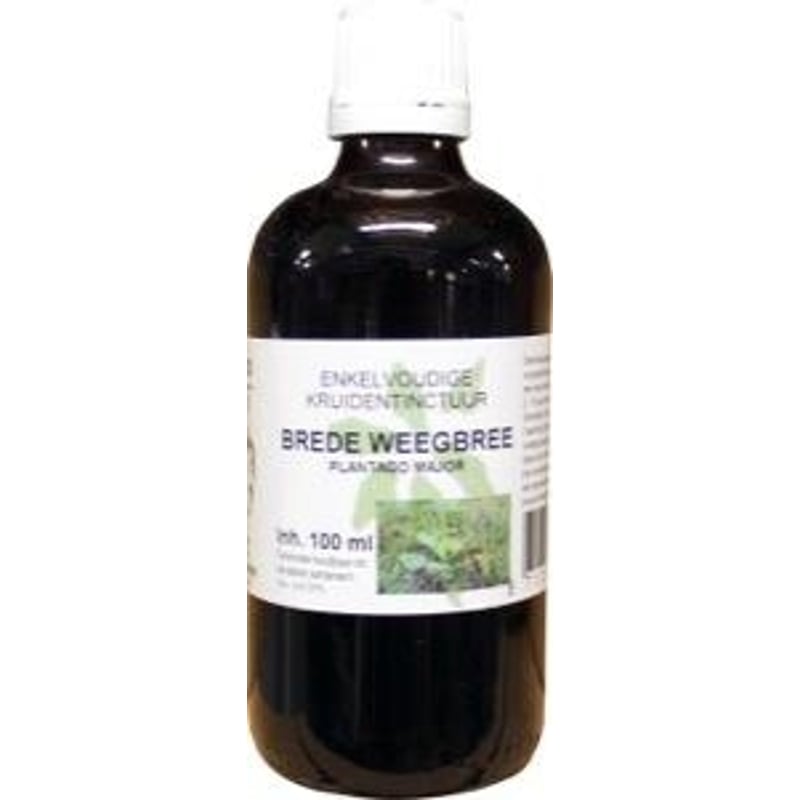 Natura Sanat Plantago major / broadleaf plantain tincture image