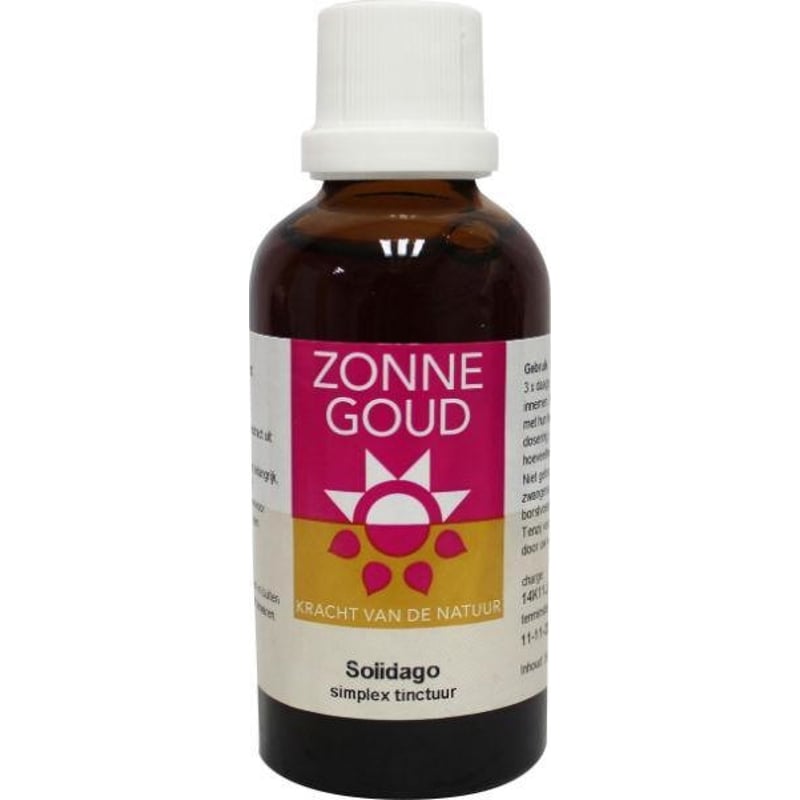 Zonnegoud Solidago simplex afbeelding