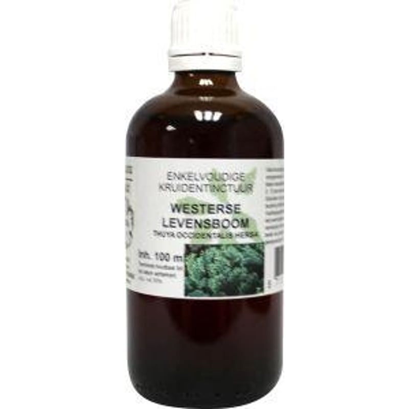 Natura Sanat Thuja occidentalis / levensboom tinctuur afbeelding