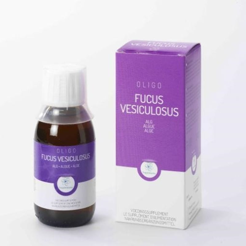 Oligoplant Fucus afbeelding