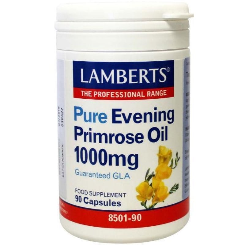 Lamberts Teunisbloem (primrose) 1000 afbeelding