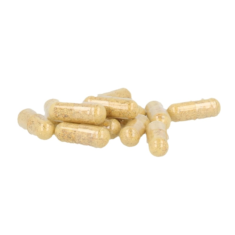 Vitaminstore Super Groenlipmossel afbeelding
