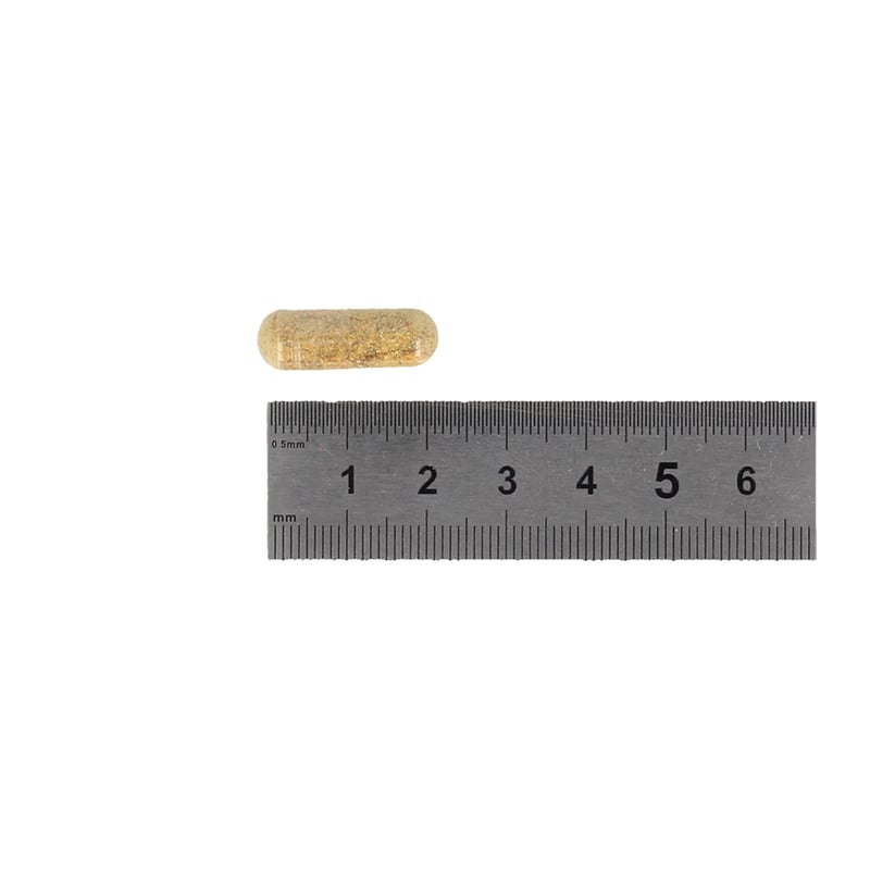 Vitaminstore Super Groenlipmossel afbeelding