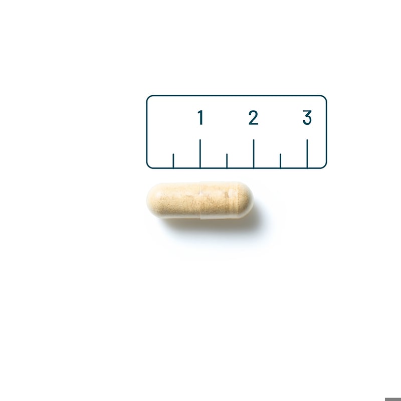 Vitaminstore Ashwagandha KSM-66® (ashwaganda) afbeelding