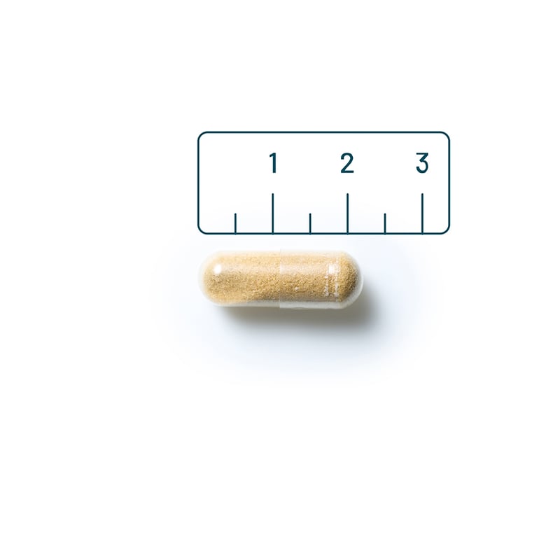 Vitaminstore GABA 500 mg afbeelding