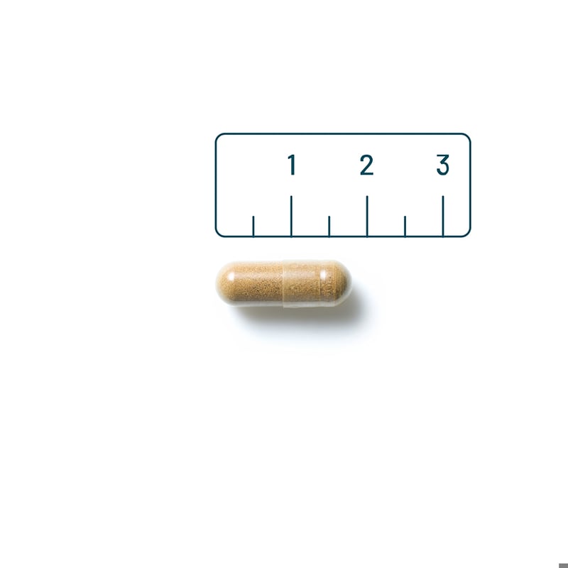 Vitaminstore Concentratie Support (voorheen Ginkgo Biloba) afbeelding