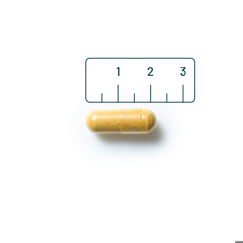Vitaminstore Lever Support (met mariadistel en choline) afbeelding