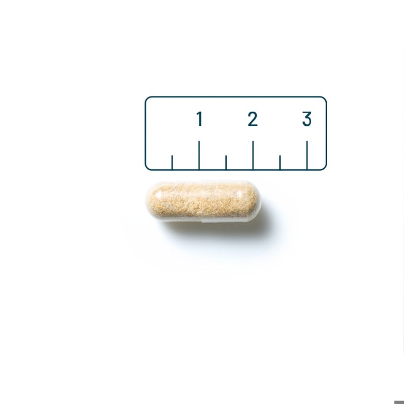 Vitaminstore NAC 600 mg afbeelding