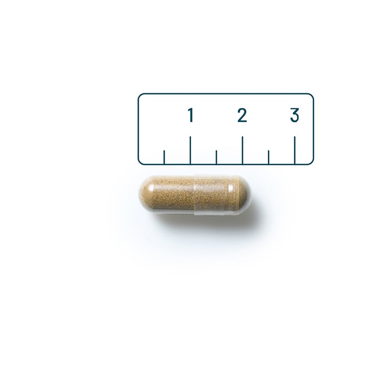 Vitaminstore Nachtrust Complex met melatonine afbeelding