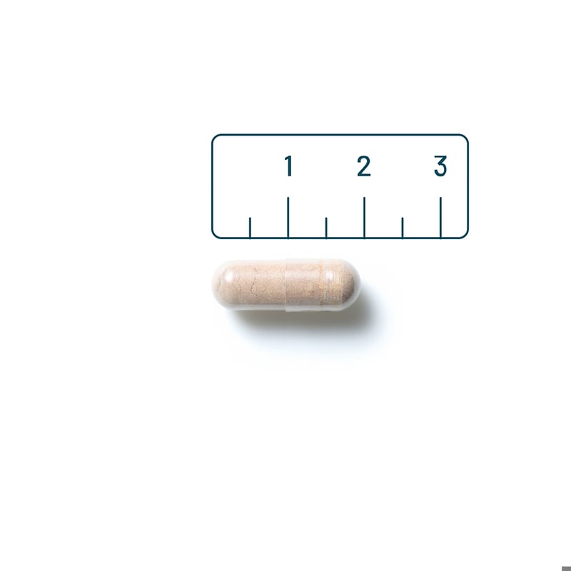 Vitaminstore Resveratrol 125 mg image