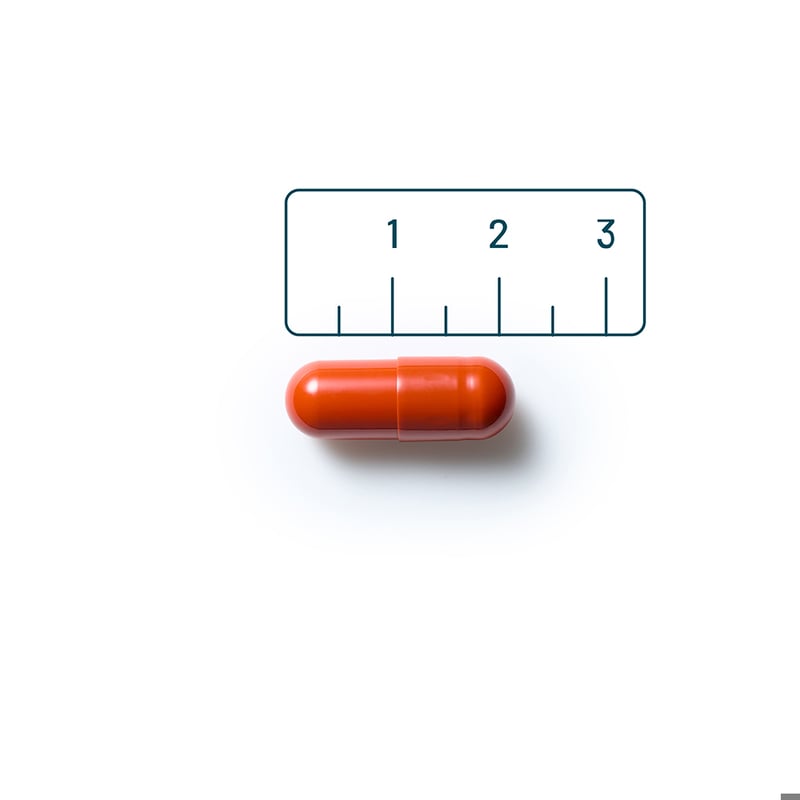 Vitaminstore Vegan Multi (multivitamine) afbeelding