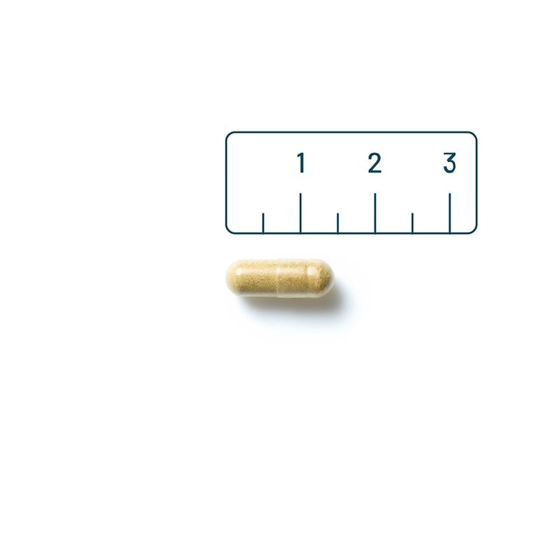 Vitaminstore Vitamine K2 45 mcg (VitaMK7) afbeelding
