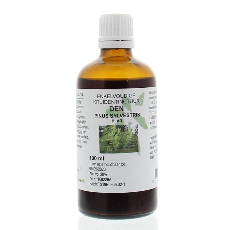 Natura Sanat Pinus Sylvestris leaf / Pine needle tincture image