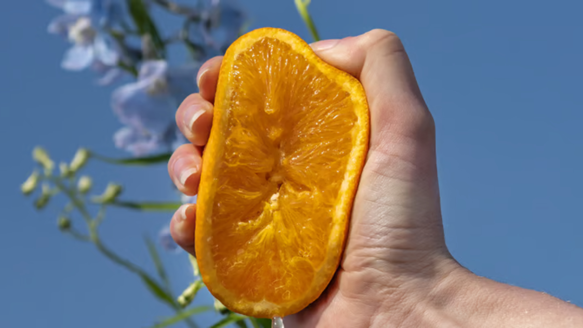 All about vitamin C