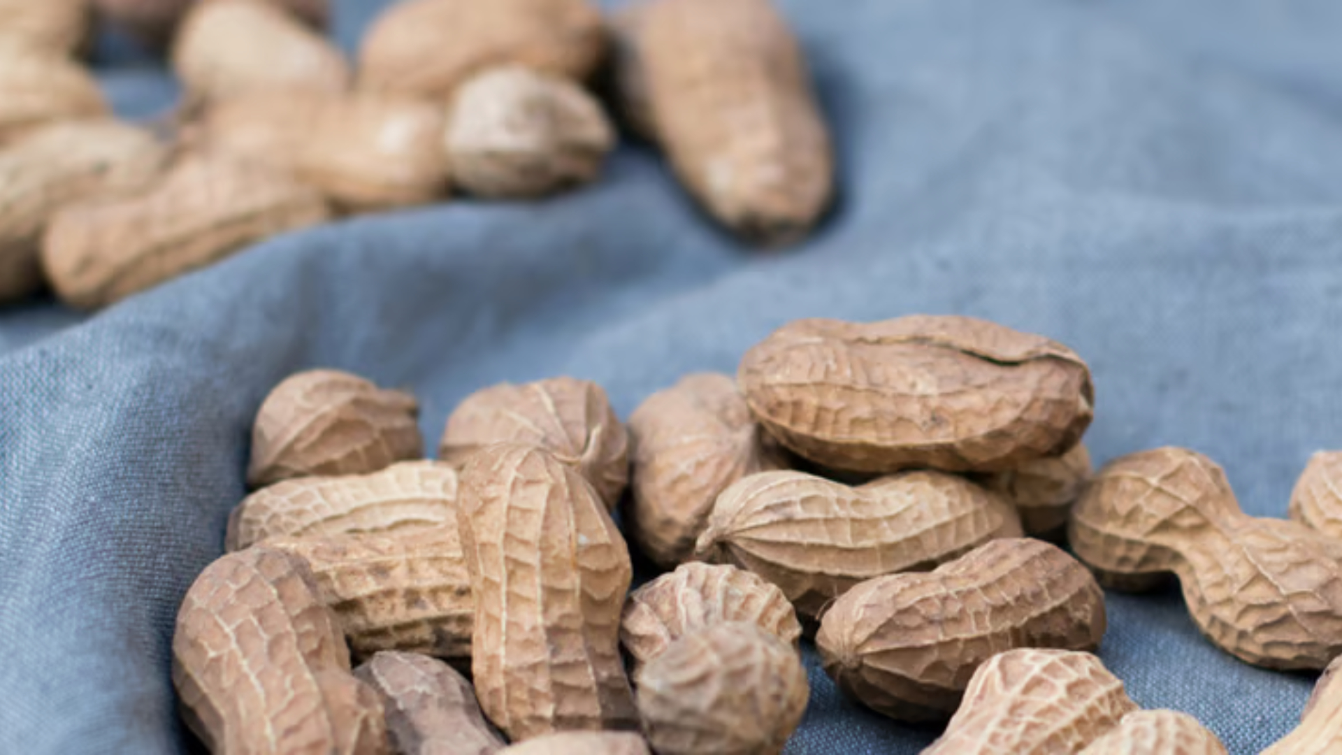 All about magnesium